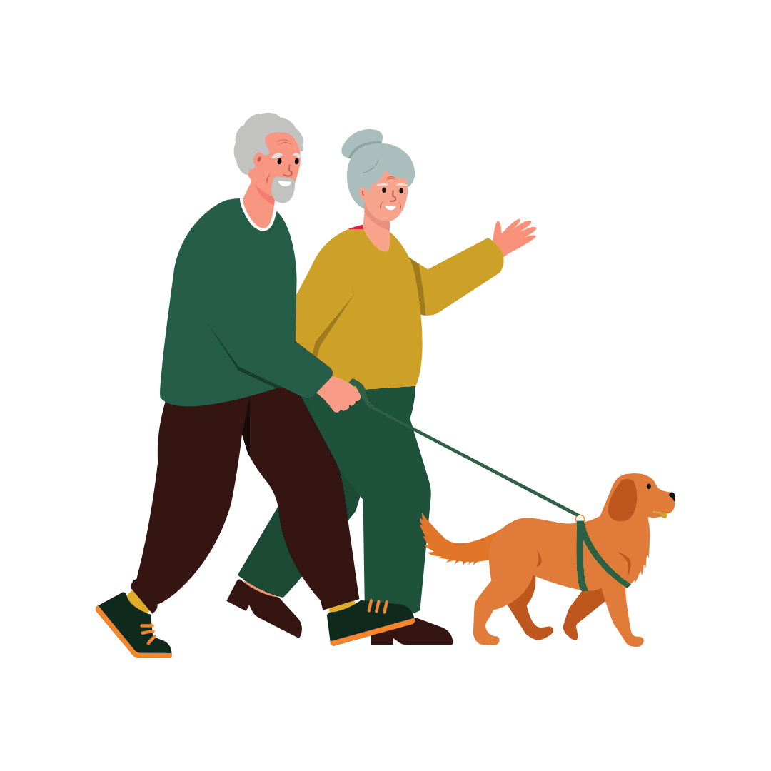 Illustration of an older couple walking their golden retriever